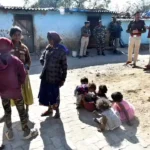 चतरा पुलिस का बड़ा एक्शन: 13 एकड़ में फैली अवैध अफीम की खेती नष्ट, मादक पदार्थ तस्करी पर कसा शिकंजा | Jharkhand News | Bhaiyajii News