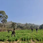 रांची में सियासी घमासान: बाबूलाल मरांडी के बयानों पर कांग्रेस का तीखा पलटवार | Jharkhand News | Bhaiyajii News