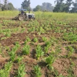 बुधमू के चन्या गांव में कानून का खुला कत्ल: मोटरसाइकिल चोरी के शक में 18 वर्षीय युवक की भीड़ द्वारा पीट-पीटकर हत्या | Jharkhand News | Bhaiyajii News