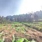 वर्ल्ड इकोनॉमिक फोरम: सर्वोच्च सम्मान ‘व्हाइट बैज’ से नवाजी गईं विधायक कल्पना सोरेन | Jharkhand News | Bhaiyajii News