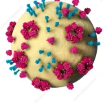 खूँटी में पड़हा राजा सोमा मुंडा हत्याकांड का खुलासा, 7 आरोपी गिरफ्तार | Ranchinews | Bhaiyajiinews