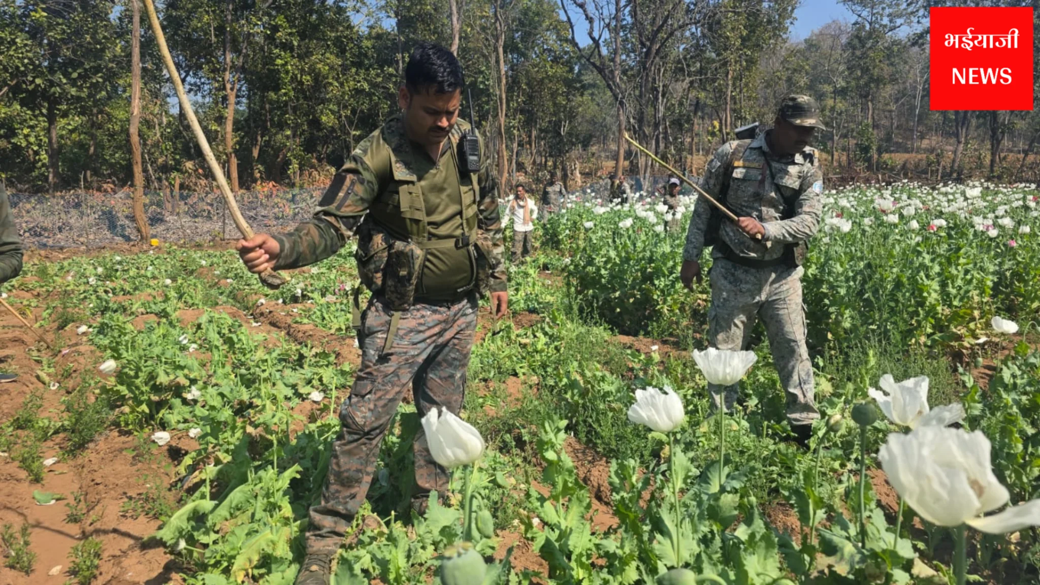 Simdega News | Jharkhand News | Bhaiyajii News