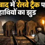 झारखंड विधानसभा बजट सत्र 2026–27: पहली बार डिजिटल और पेपरलेस कार्यवाही, आधुनिक लोकतंत्र की ओर बड़ा कदम | Jharkhand News | Bhaiyajii News