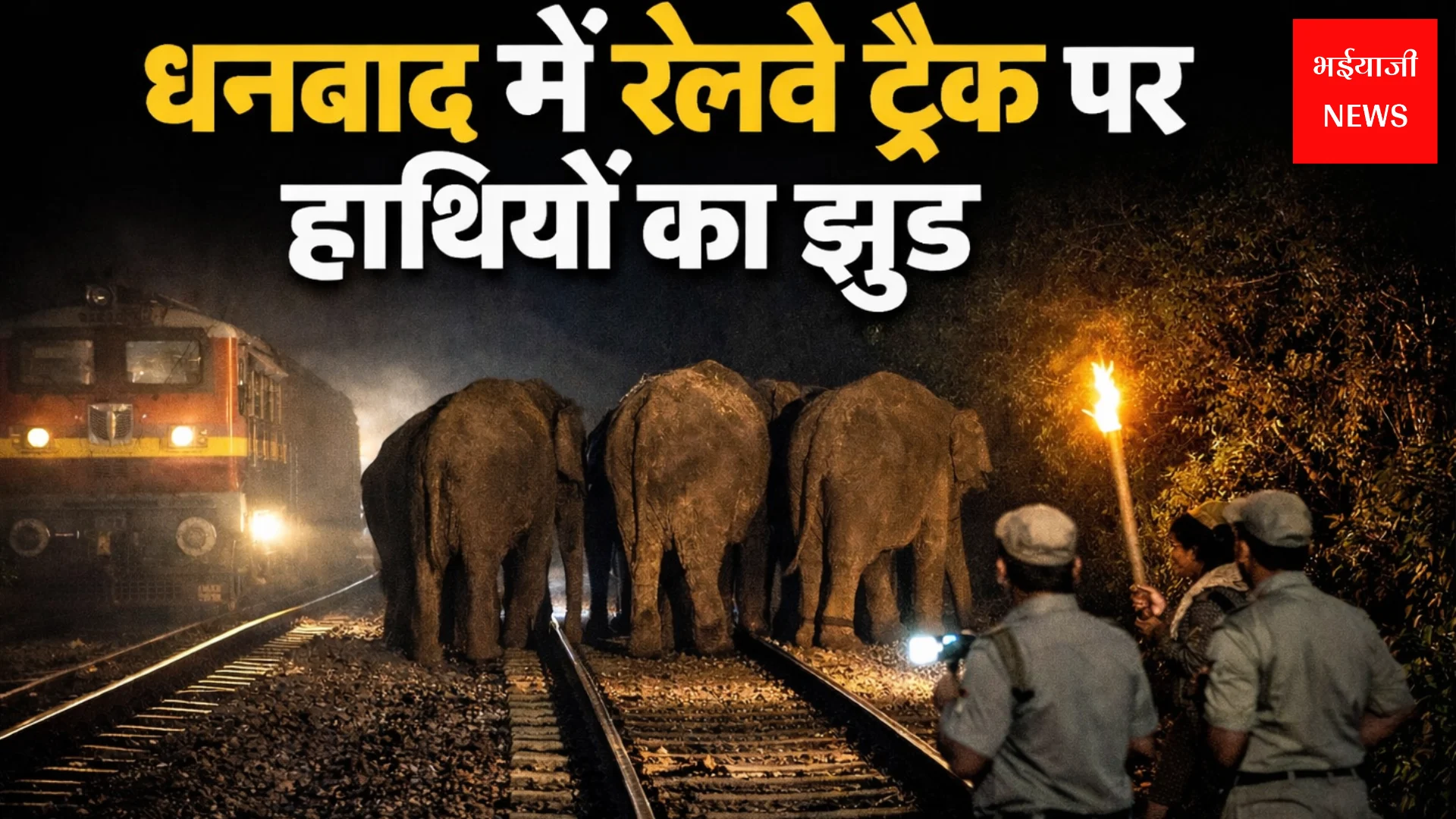 धनबाद में रेलवे ट्रैक पर हाथियों | Jharkhand News | Bhaiyajii News