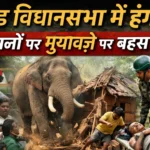 रांची में महिला सम्मेलन: रोशनी खलखो के समर्थन में गूंजा हुंकार, महिला सुरक्षा और सशक्तिकरण का मुद्दा केंद्र में | Jharkhand News | Bhaiyajii News