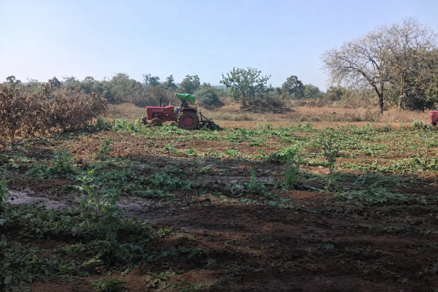 चतरा पुलिस की बड़ी कार्रवाई | Jharkhand News | Bhaiyajii News