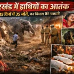 रांची में संपत्ति कर में बड़ा खुलासा: नगर निगम की जांच में सामने आई गंभीर विसंगतियां | Jharkhand News | Bhaiyajii News