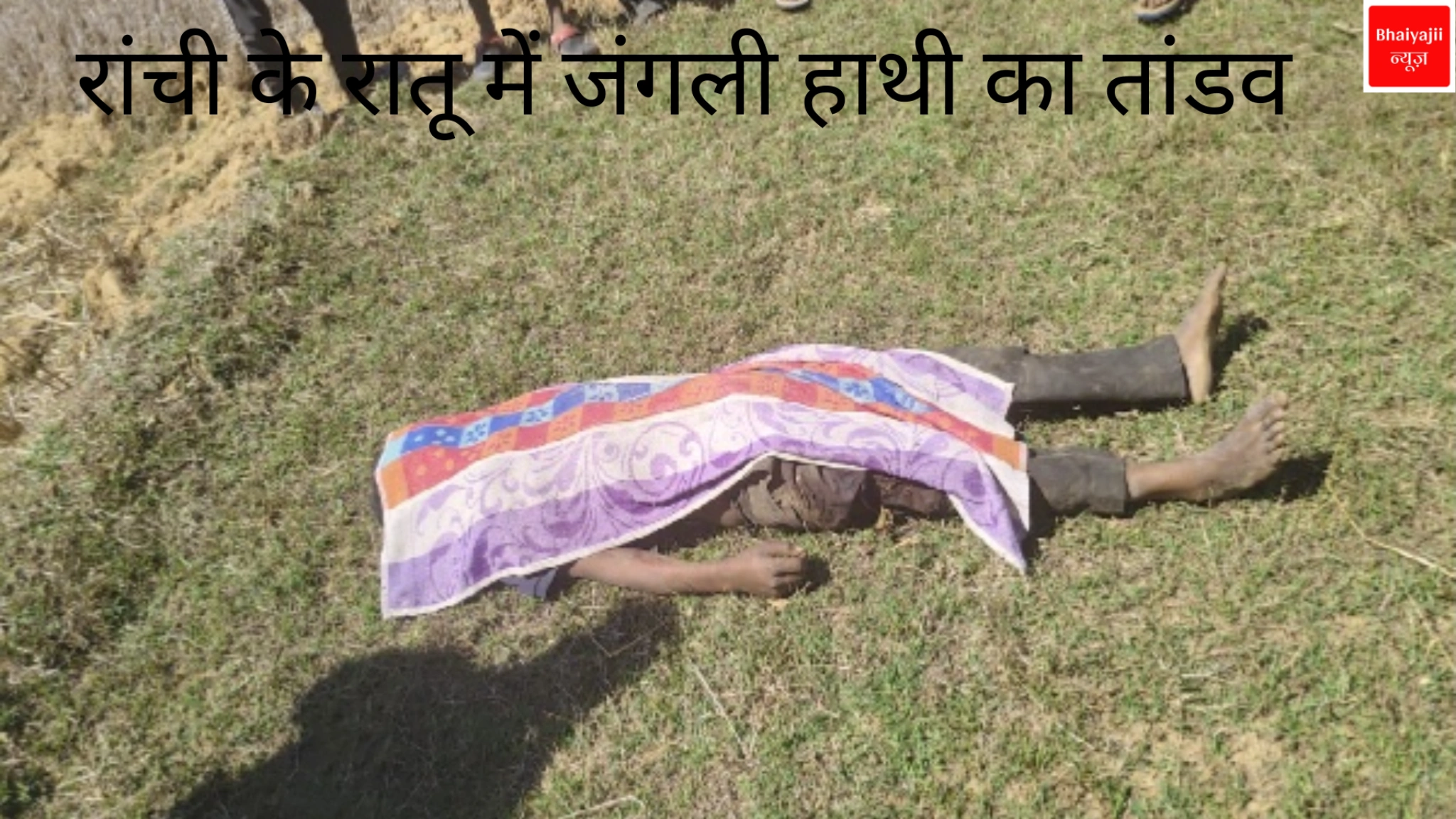 रांची के रातू में जंगली हाथी |Jharkhand News | Bhaiyajii News