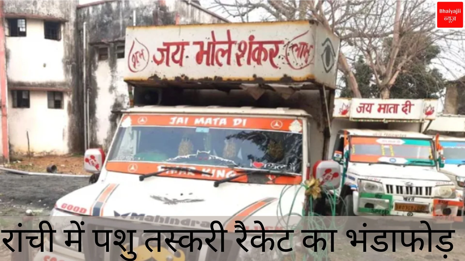 रांची पशु तस्करी | Jharkhand News | Bhaiyajii News