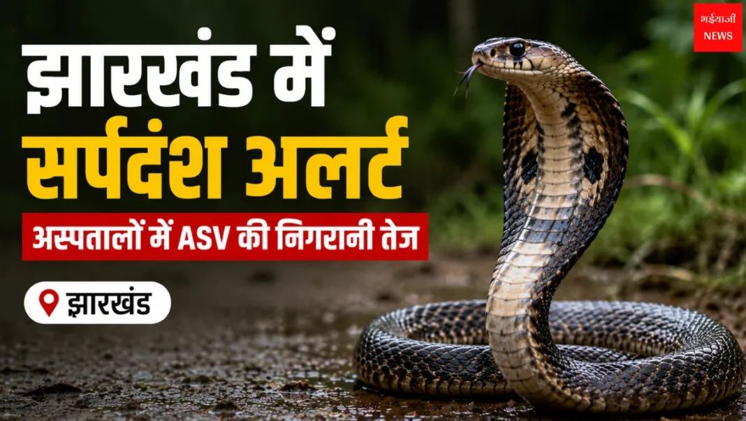 Jharkhand Snakebite Alert | Jharkhand News | Bhaiyajii News