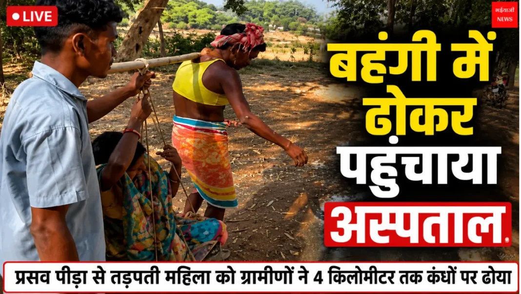 गुमला गर्भवती महिला | Jharkhand News |Bhaiyajii News
