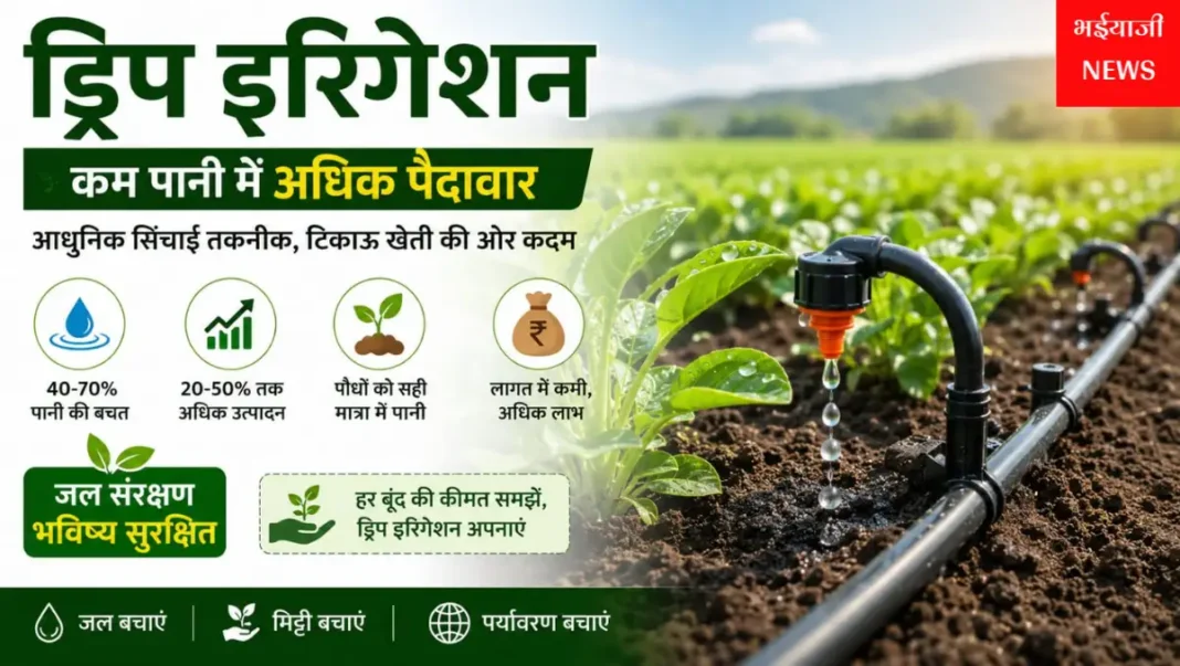 ड्रिप इरिगेशन : | Jharkhand News | Bhaiyajii News |