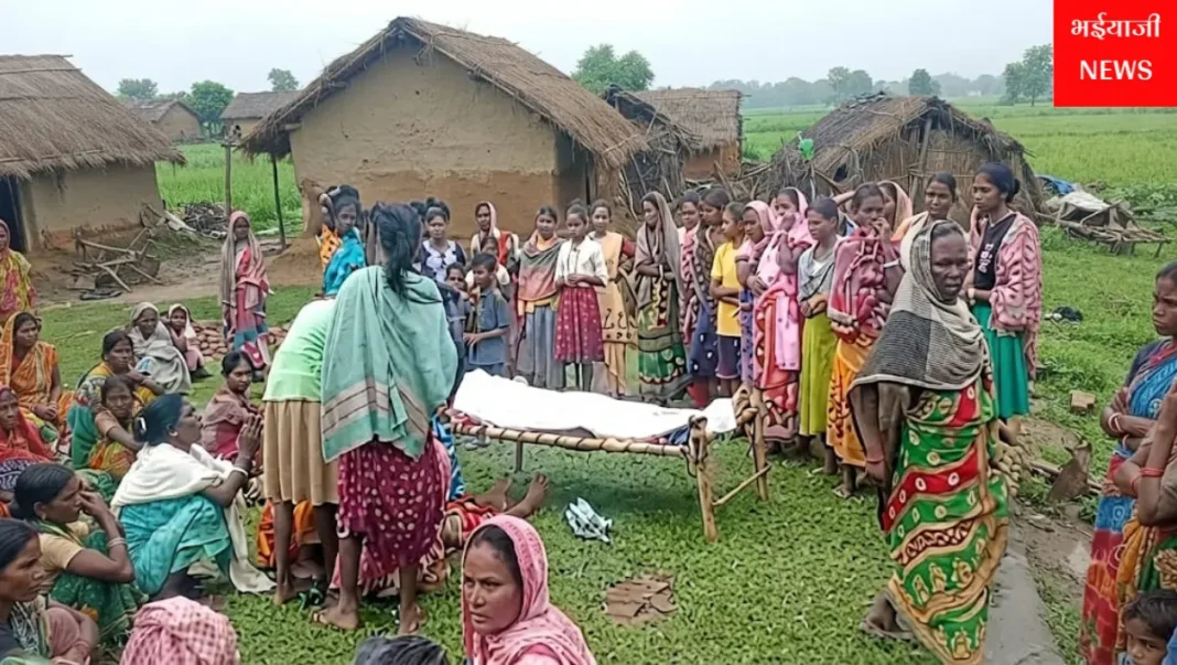 जामताड़ा किसान की आकाशीय बिजली से मौत : | Jharkhand News | Bhaiyajii News |