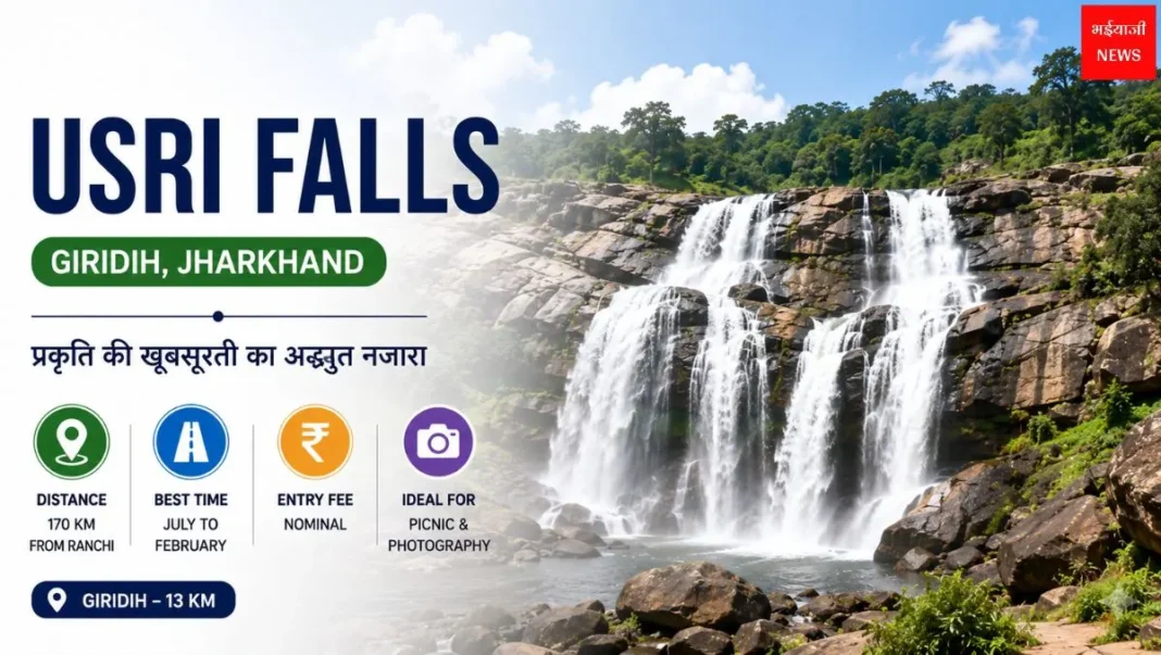 Usri Falls Giridih: कैसे जाएं, दूरी, एंट्री फीस और पूरी ट्रैवल गाइड 2026 | Jharkhand News |Bhaiyaji News |