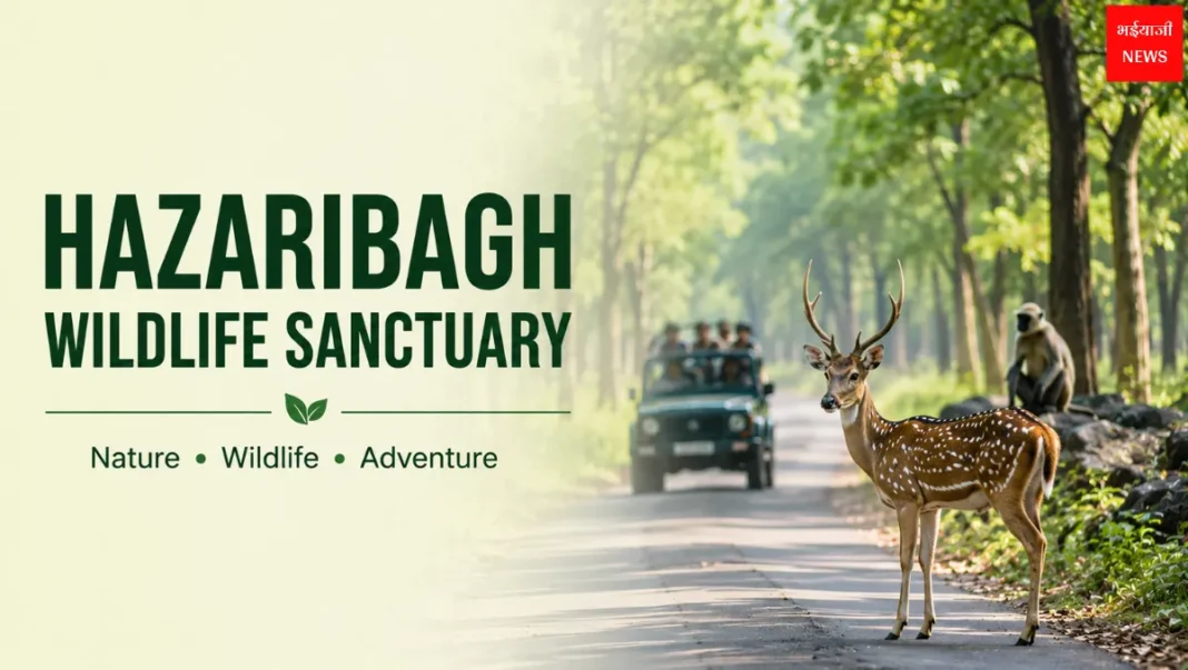 Hazaribagh Wildlife Sanctuary| Jharkhand News | Bhaiyajii News