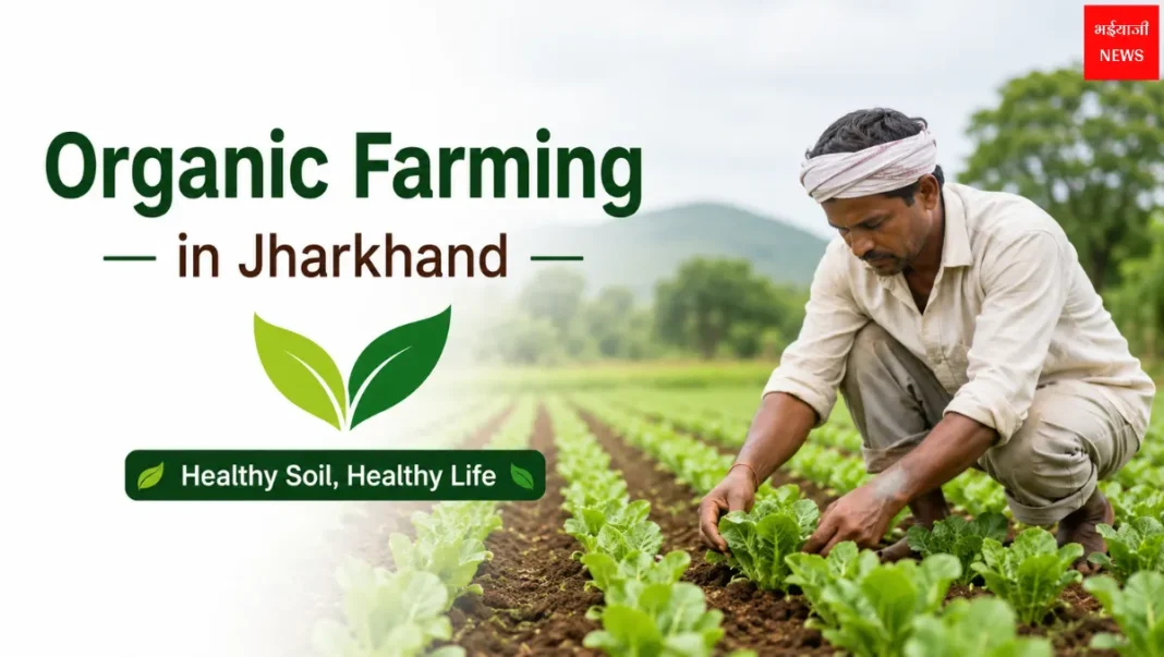 Organic Farming in Jharkhand| Jharkhand News | Bhaiyajii News