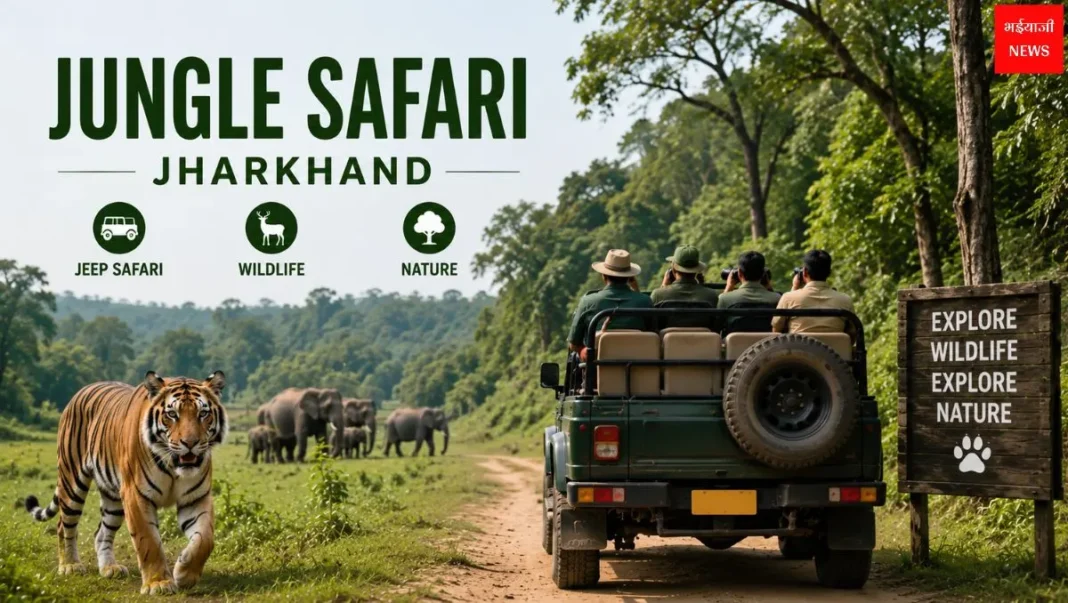Jungle Safari Jharkhand: बेस्ट सफारी, टिकट, समय और पूरी ट्रैवल गाइड 2026 | Jharkhand News | Bhaiyaji News |